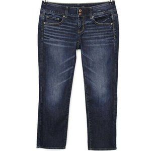 American Eagle Artist Crop‎ Capri Jeans Stretch 4 Regular